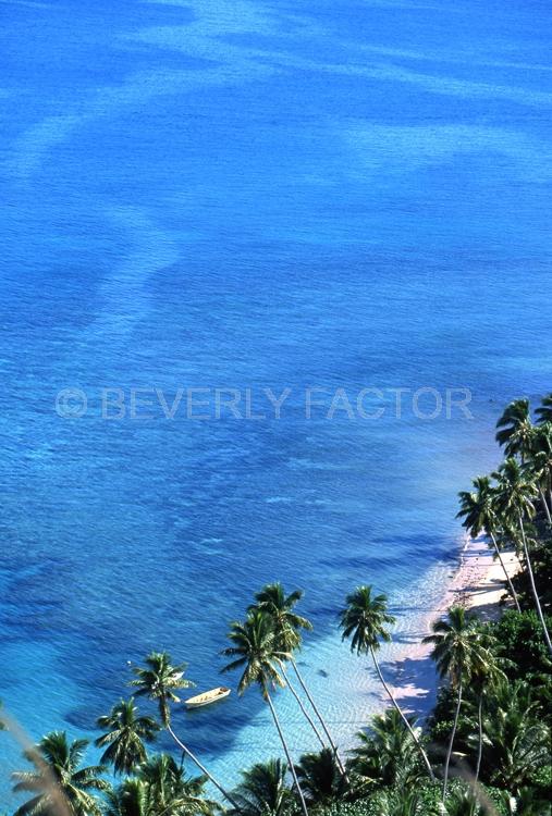 Island;fiji;palm trees;blue waterl birds eye view;blue